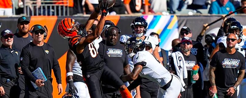 Cincinnati Bengals Young Receivers Shine at Right Time