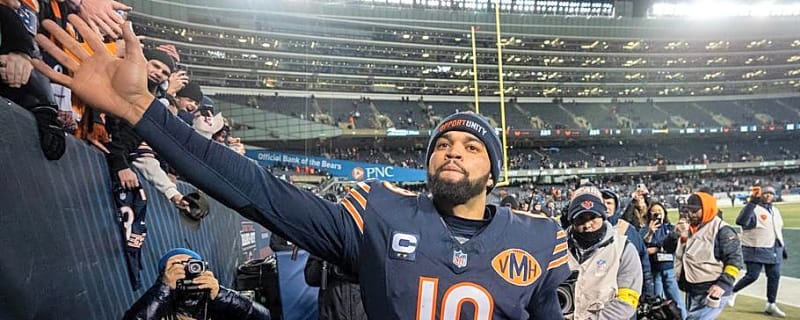 The Most Deceptive Numbers Behind Predictions of a Bears Collapse