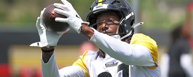 Steelers Add Training Camp Star to WR Room