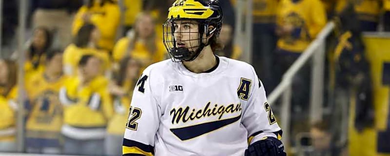 Michigan hockey makes significant jump in latest poll