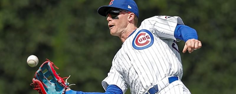 2026 Projection Shows Where the Cubs Defense Ranks Among the League