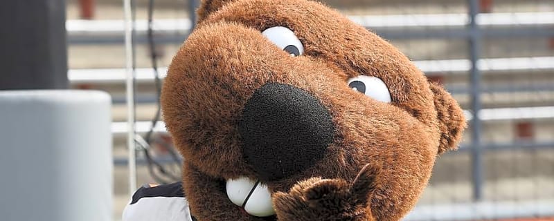 Oregon State Women's Soccer Can't Break LMU Defense, Ties Lions 0-0