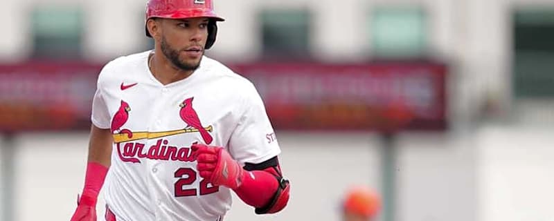 Cardinals' Joshua Báez Could Be Outfield Solution St. Louis Needs