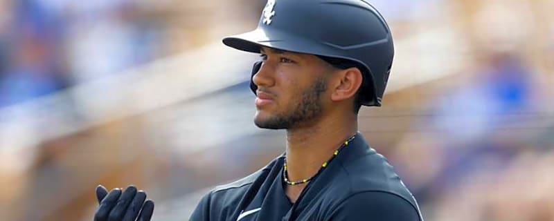 Do You Agree with MLB Pipeline's Top 30 Prospects for the White Sox?