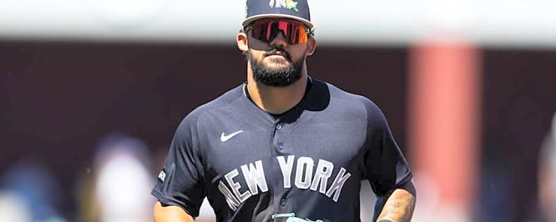 Yankees' Plan for Jasson Domínguez Couldn't Be Clearer After Monday