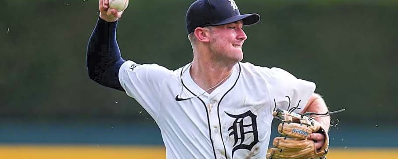 Ranking Tigers Worst Five Players by Top Sabermetric Analytic for 2025 Season