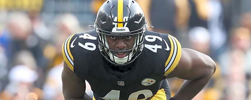 Steelers Release Two Players From IR