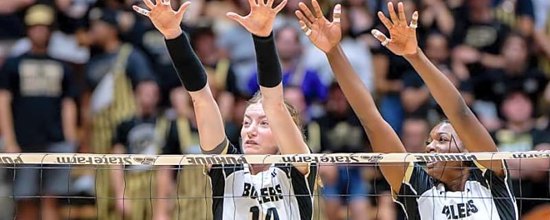 Grace Heaney&#39;s Career Day Fuels Purdue&#39;s Reverse Sweep Over Minnesota
