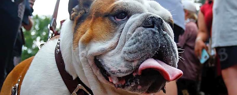 Mississippi State Emerging as Top Contender for 2027 Cornerback Recruit