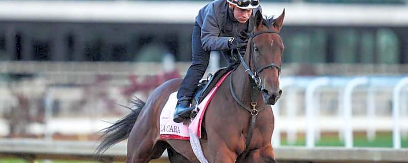 Casse's duo of La Cara and Nitrogen take on Good Cheer in the Alabama