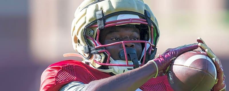FSU Football Fall Camp Preview: Tight End