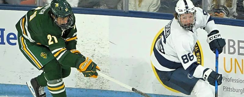 Arizona State Hockey Players Call for Coaches to Be Put on Leave After Teammate’s Collapse