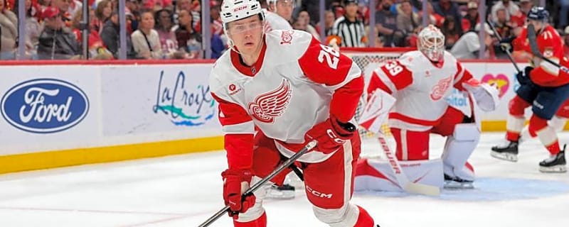 Ranking the Top 10 Prospects in the Detroit Red Wings System