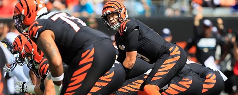T.J. Houshmandzadeh Calls Out Key Bengals’ Position Group After Jaguars Loss