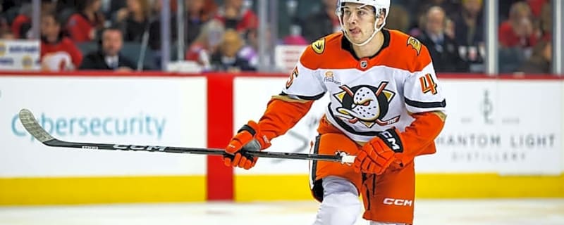 Ducks Climbing Standings With Latest Hot Streak