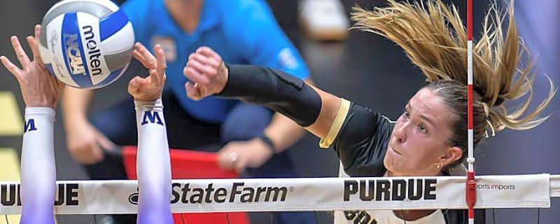 Three Boilermakers Earn 2025 All-American Volleyball Honors