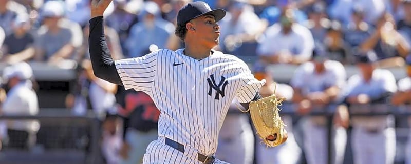 Carlos Lagrange's Bullpen Move Should Have One Yankees Reliever Worried About His Future