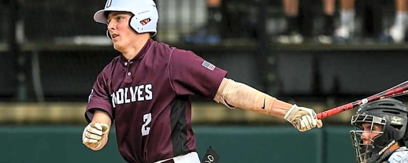 Chicago White Sox Prospect Caleb Bonemer Succeeding In First Professional Season