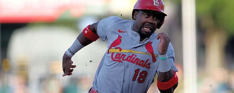 Cardinals Became Part of Elite National League Group This Week