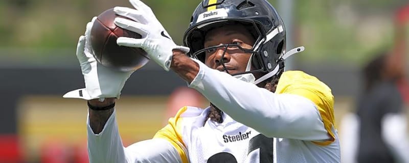 Injury Crushing Steelers Camp Darling's Chances