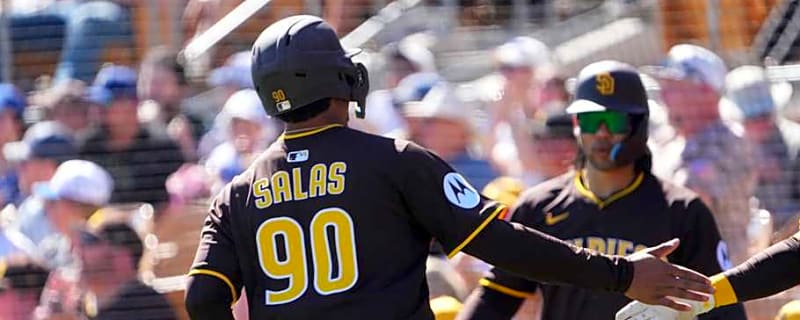 Padres Former No. 1 Prospect Falls Out of Top 100