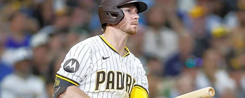 Former MLB Exec Shares Salary Projection for Rays To Sign Ryan O&#39;Hearn in Free Agency