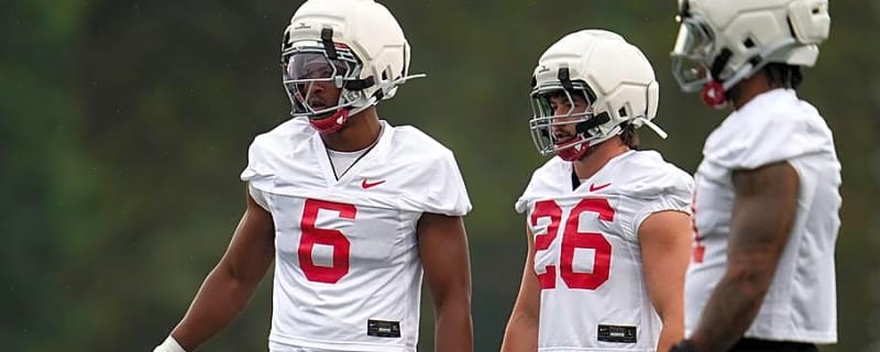 How Ohio State Will Replace Linebacker Sonny Styles in 2026