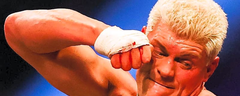 Update On Rumored Tension Surrounding Cody Rhodes And Roman Reigns