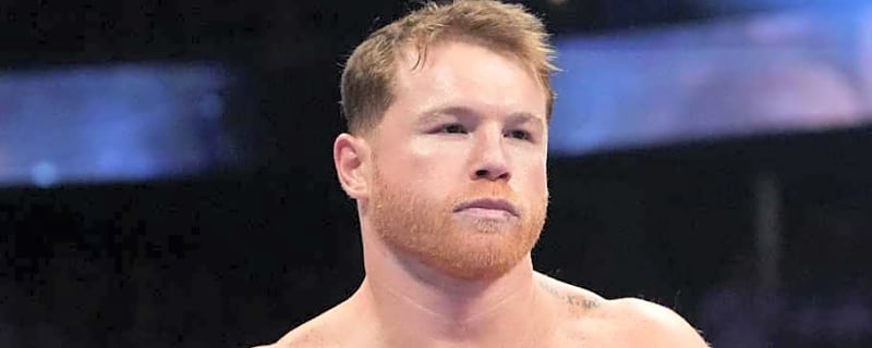 The Biggest Loser From Canelo Alvarez vs Terence Crawford Wasn&#39;t Canelo