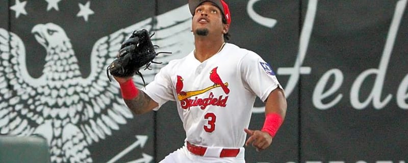 Another Cardinals Top Prospect Who Could Be a Star in 2027