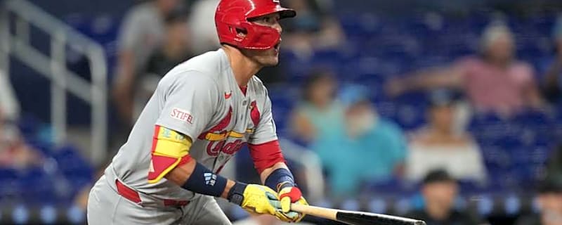 Cardinals Fan Favorite May Have Played His Way Back Into 2026 Plans