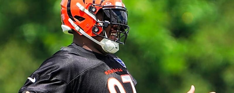 'Somebody Has To Challenge the King of the Jungle' - Bengals DT Dexter Lawrence Takes a Few Runs at Joe Burrow