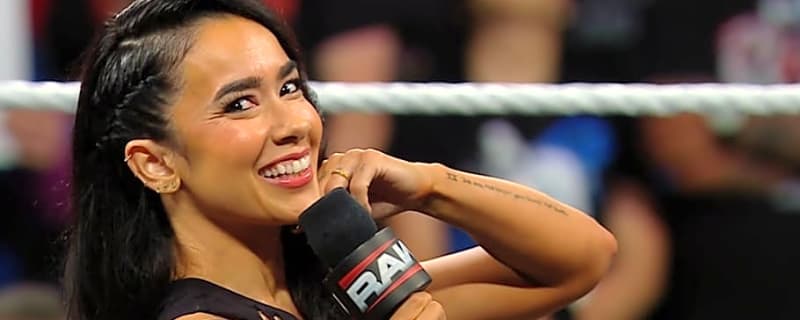 AJ Lee Returns To The Ring Alongside CM Punk At WWE Wrestlepalooza