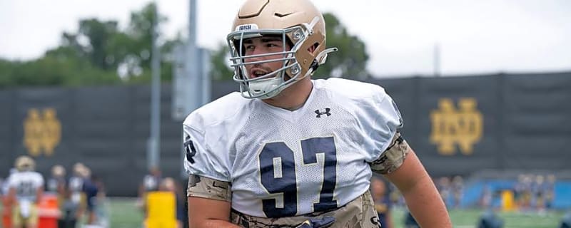 Steelers Rookie May Be Next Late-Round Defensive Gem