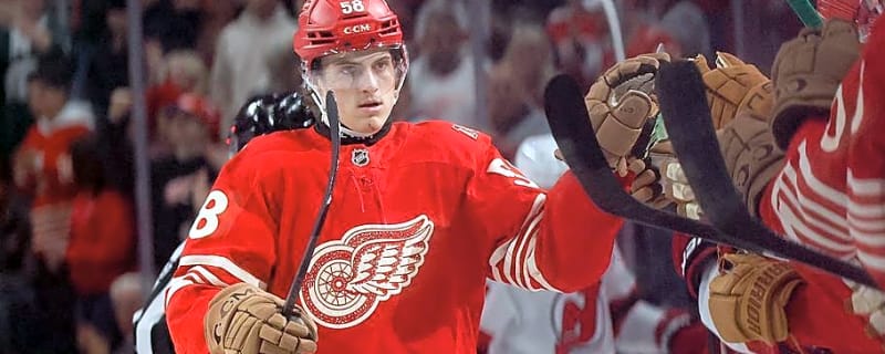 What Should Red Wings Expect From Emmitt Finnie in Year 2?