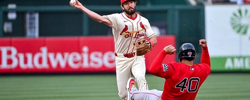 Cardinals Crowded Bench Is Bad News for 3-Year Veteran