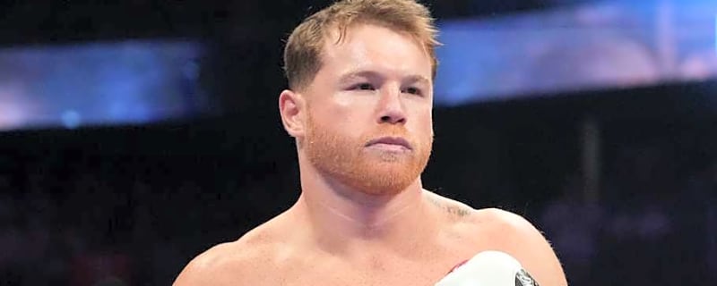 First Images Emerge Of Canelo Alvarez Following His Elbow Surgery