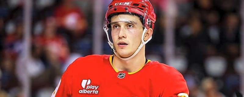 2026/27 Calgary Flames Player Preview: Samuel Honzek