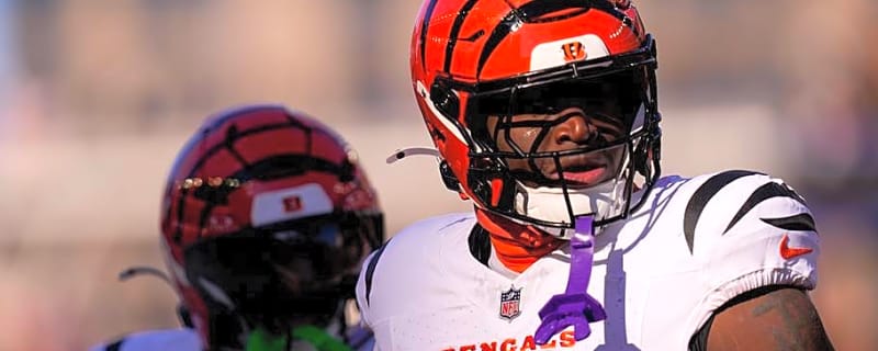 'What A Difference A Year Makes' - Steady Growth Continuing For Bengals' Young Linebackers