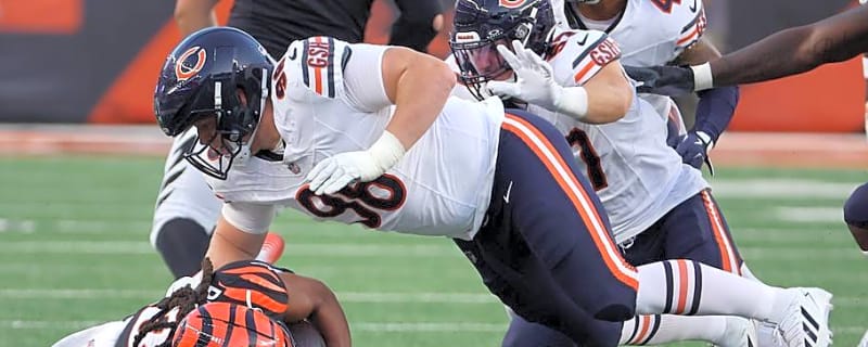 Jordan van den Berg Was a Menace vs. Bengals and Looks Like a Major Steal for Bears