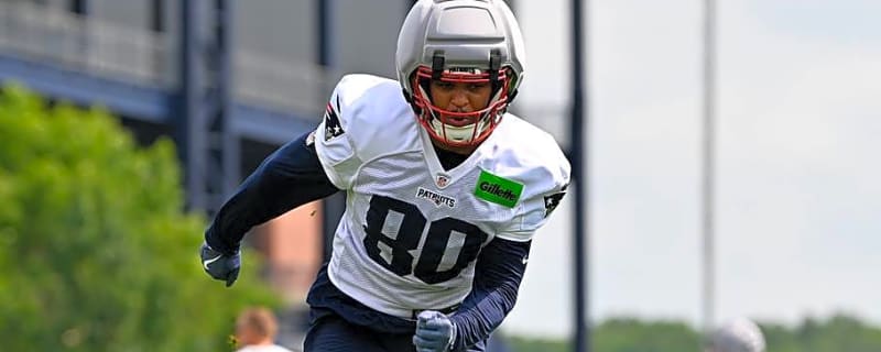 Patriots Roster Moves: WR Tejhaun Palmer Claimed, Rookie TE Released