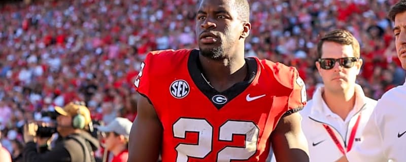 Georgia Running Back Branson Robinson Enters the NCAA Transfer Portal