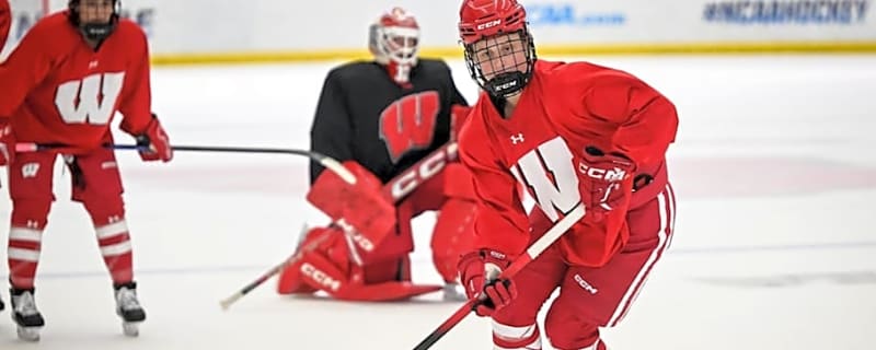 Badgers women's hockey falls in pre-NCAA Tournament rankings