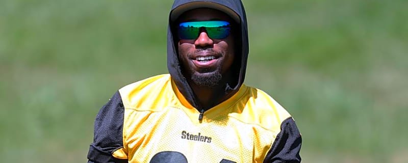 Panthers May Want to Call Steelers for Defensive Reinforcements