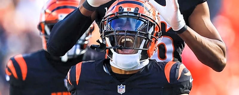 Former Cincinnati Bengals Veteran Signing With AFC North Rival