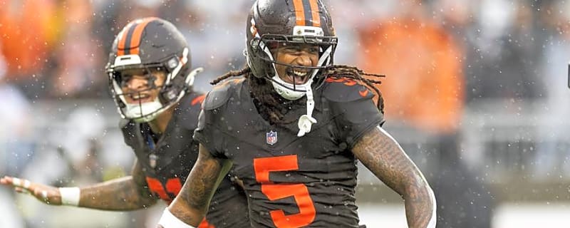 Steelers Work Out Former Browns Safety