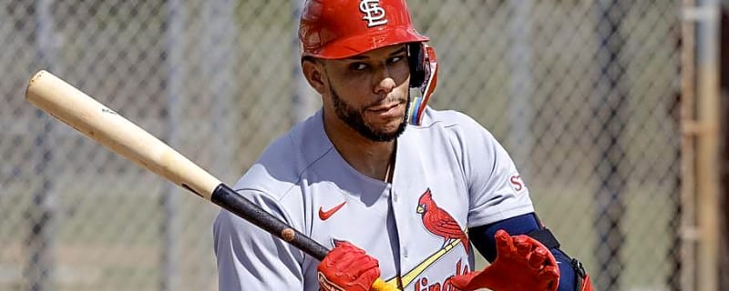 Joshua Báez's 4-Homer Night Turned Heads Across Baseball, Including Cardinals Clubhouse