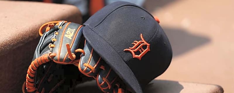 Tigers Slugger Considered Free Agent with Highest Bust Potential