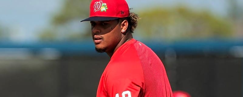 Nationals Star Prospect Jarlin Susana Is Now One Step Closer to the Majors