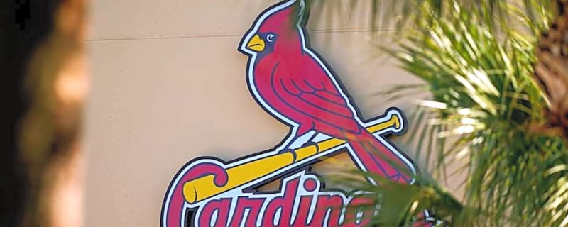 Young Cardinals Utility Man Tabbed &#39;Expendable&#39; Trade Candidate